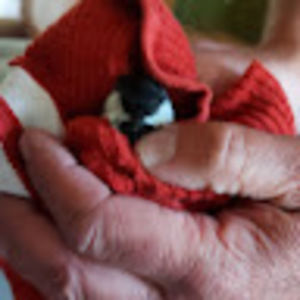 Meet your Posher, Diane